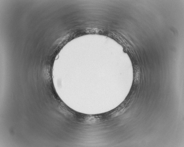 X0000115520616200912181508