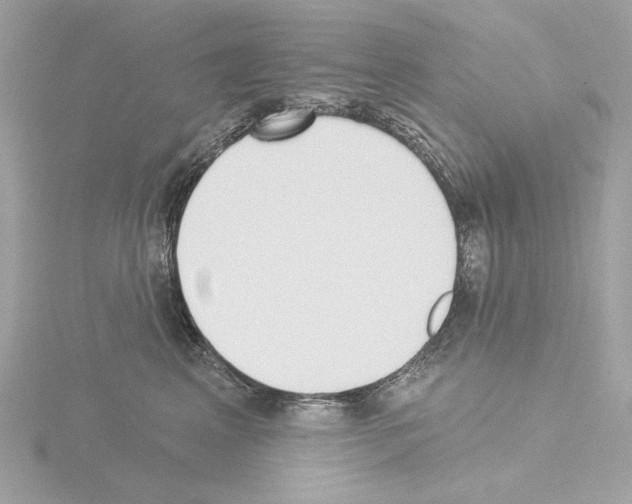 X0000115520617200912181508