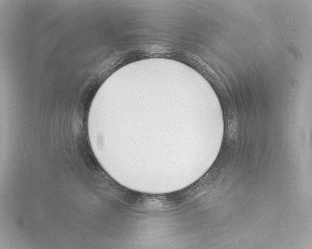 X0000115520618200912181508