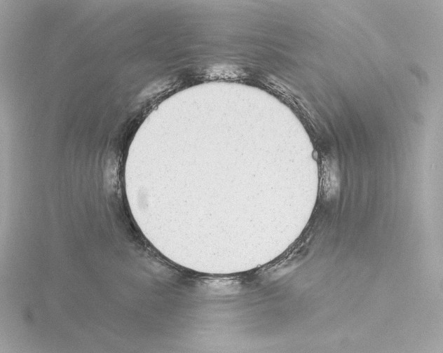 X0000115520619200912181508