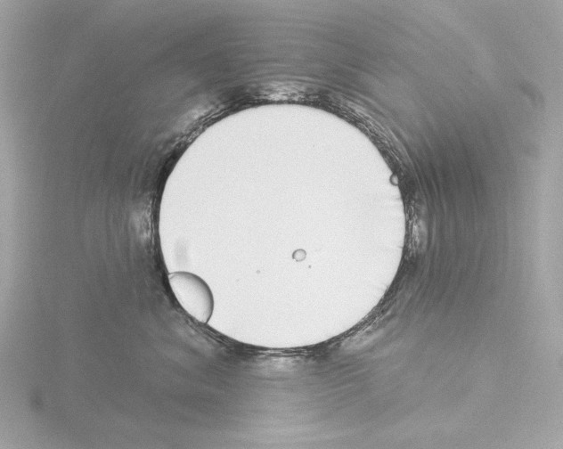 X0000115520620200912181508