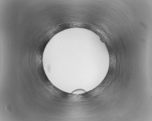 X0000115520621200912181508