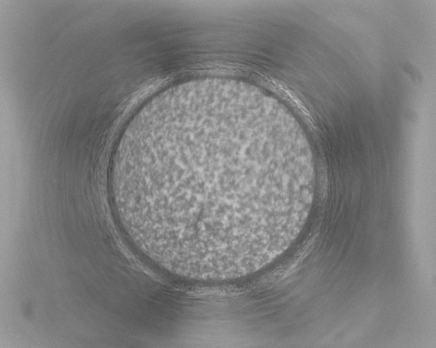 X0000115520625200912181507