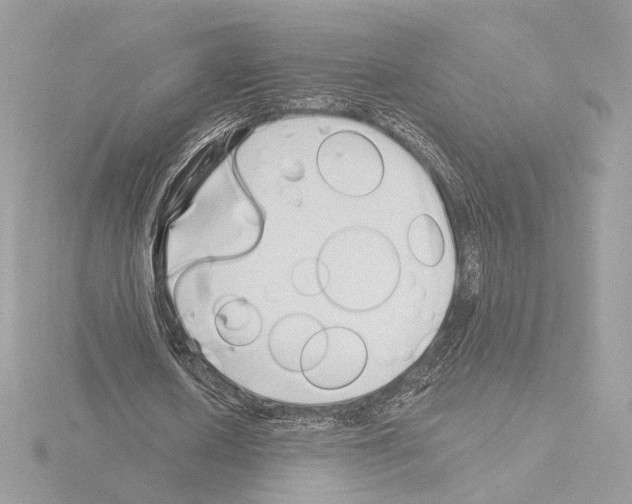 X0000115520626200912181507