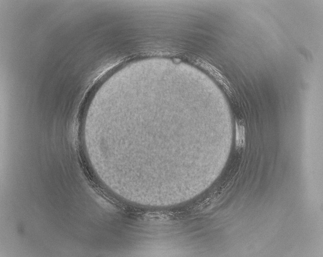 X0000115520627200912181507