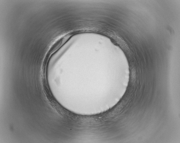 X0000115520628200912181507