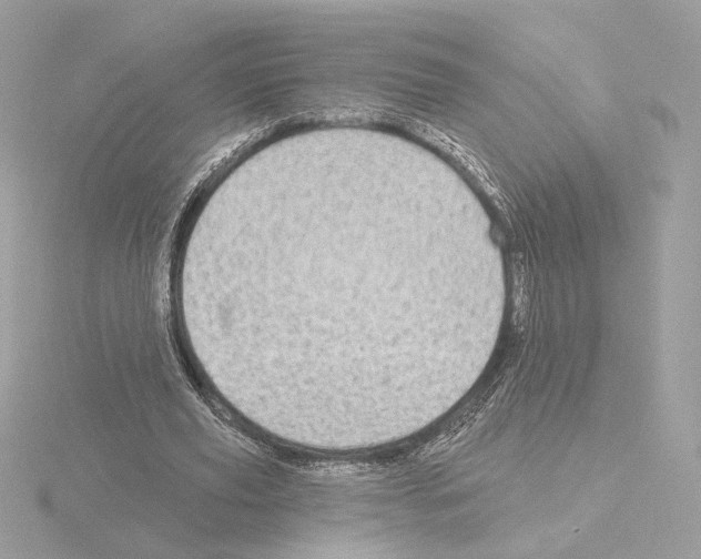 X0000115520629200912181507