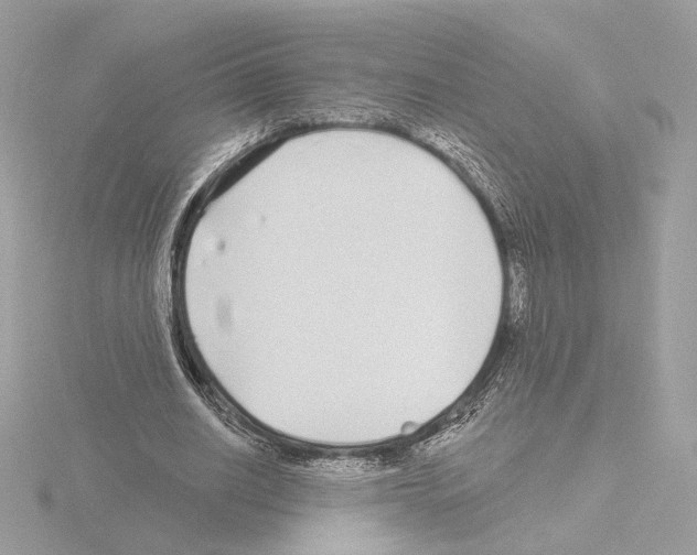 X0000115520630200912181507