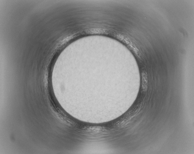 X0000115520631200912181507