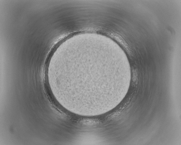 X0000115520632200912181507