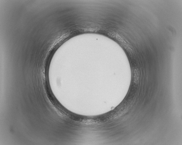 X0000115520634200912181507