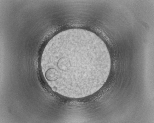 X0000115520635200912181507