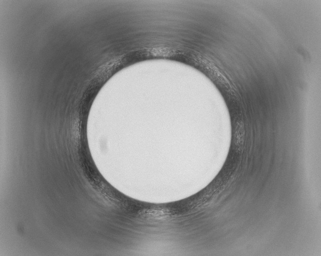 X0000115520639200912181507