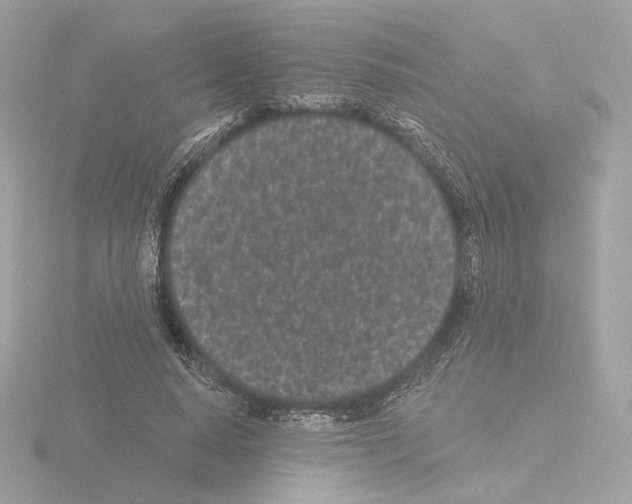 X0000115520640200912181507