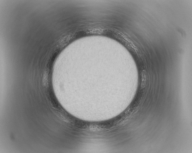 X0000115520641200912181507