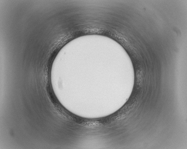 X0000115520642200912181507