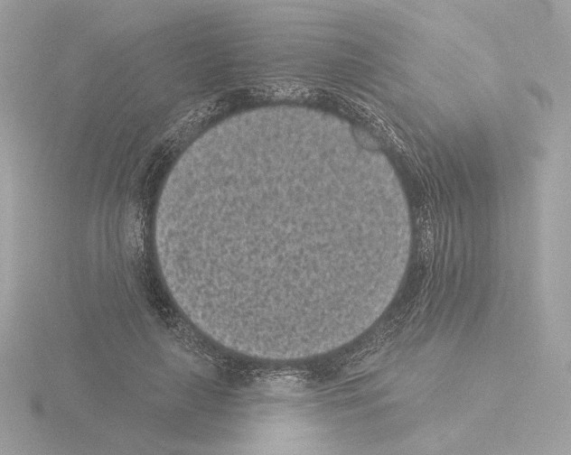 X0000115520643200912181507