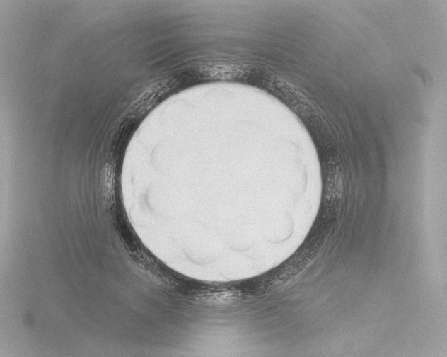 X0000115520646200912181507