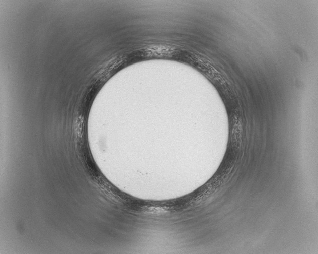 X0000115520649200912181507