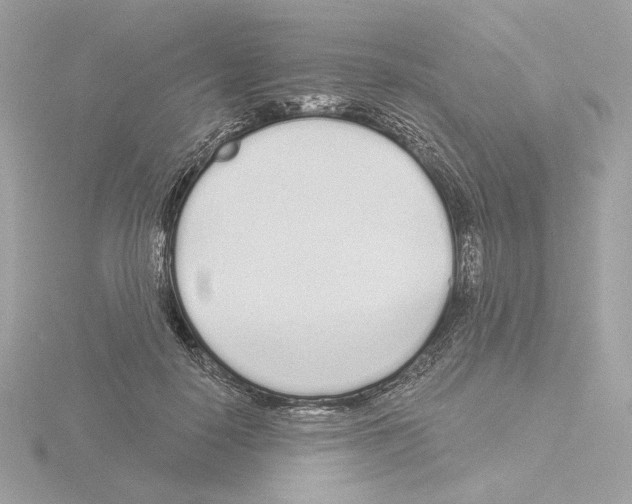 X0000115520650200912181507