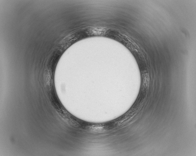 X0000115520651200912181507