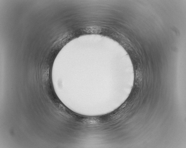 X0000115520652200912181507