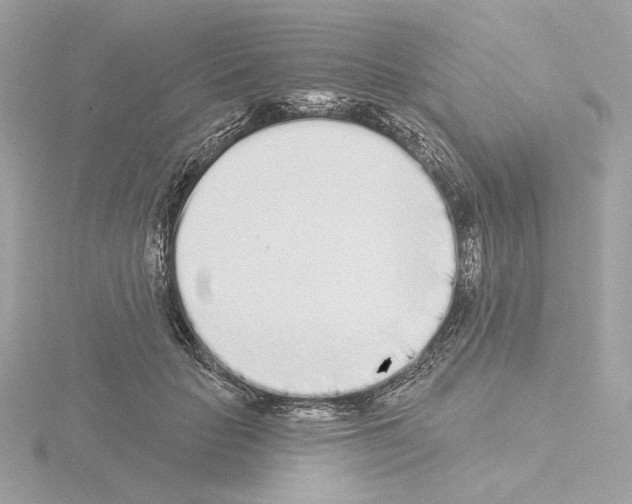 X0000115520653200912181507