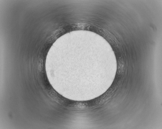 X0000115520656200912181507