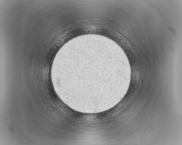 X0000115520660200912181507