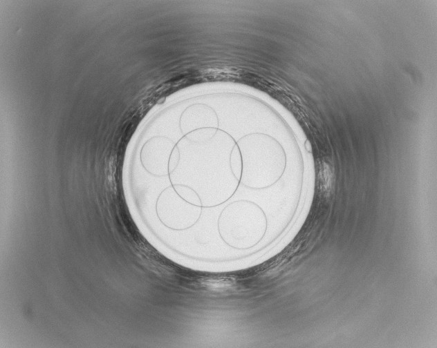 X0000115520662200912181507