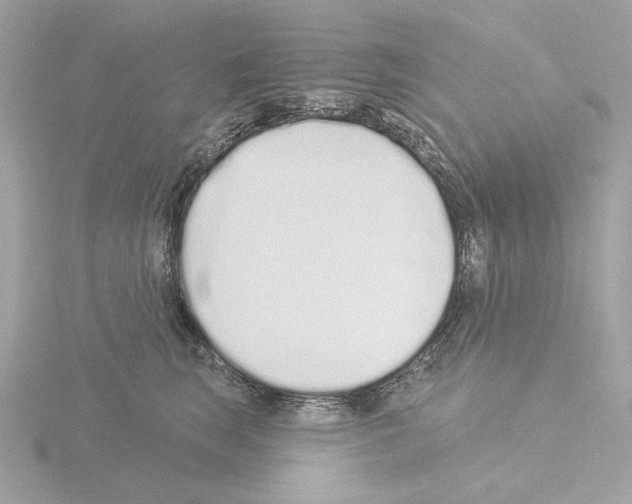 X0000115520663200912181507