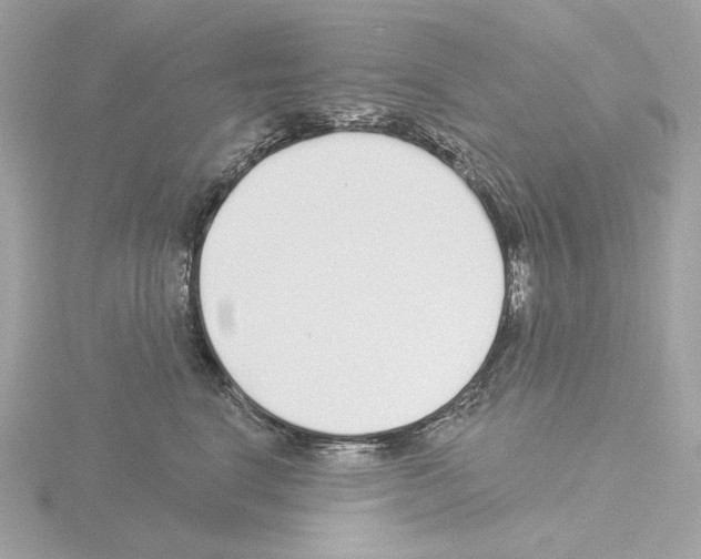 X0000115520664200912181507