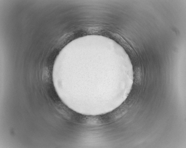 X0000115520667200912181507