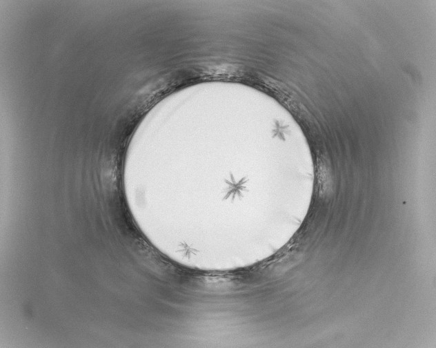 X0000115520668200912181507