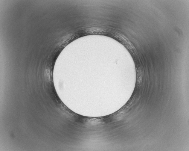 X0000115520669200912181507