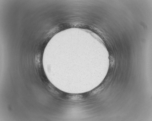 X0000115520670200912181507