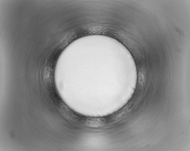 X0000115520671200912181507