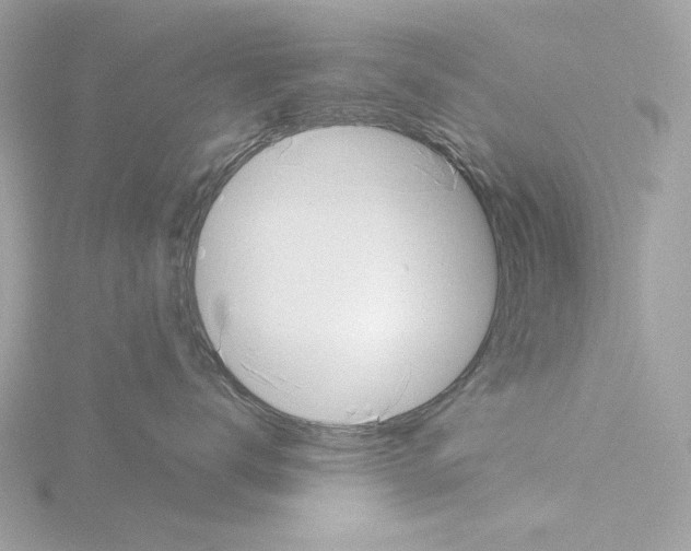 X0000115520672200912181508