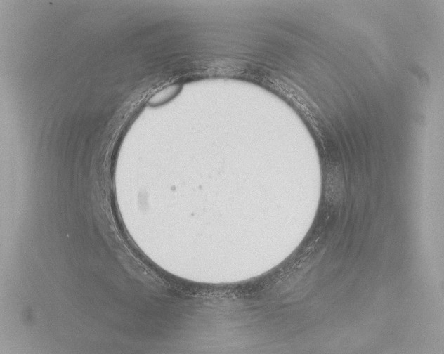 X0000115520673200912181507