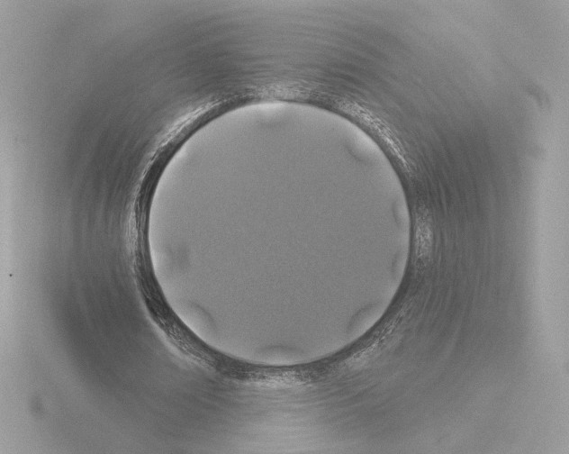 X0000115520674200912181507