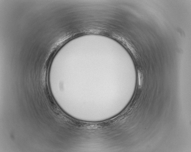 X0000115520675200912181507