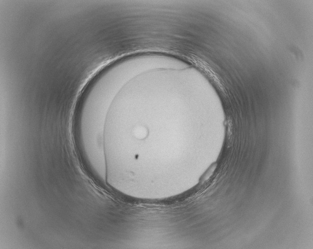 X0000115520676200912181507