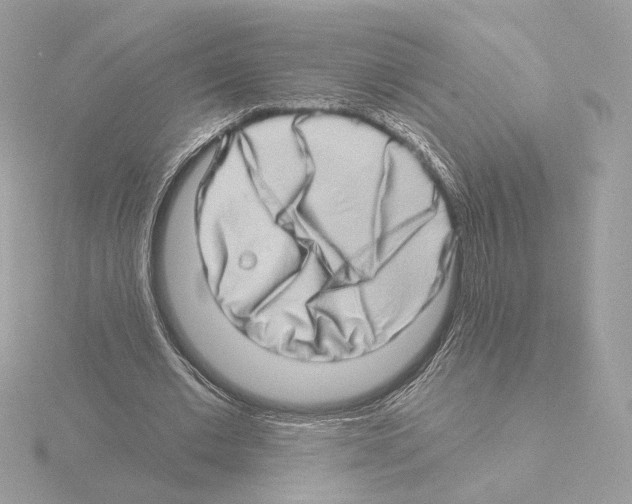 X0000115520677200912181507