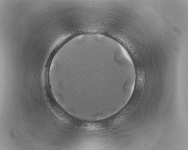 X0000115520678200912181507