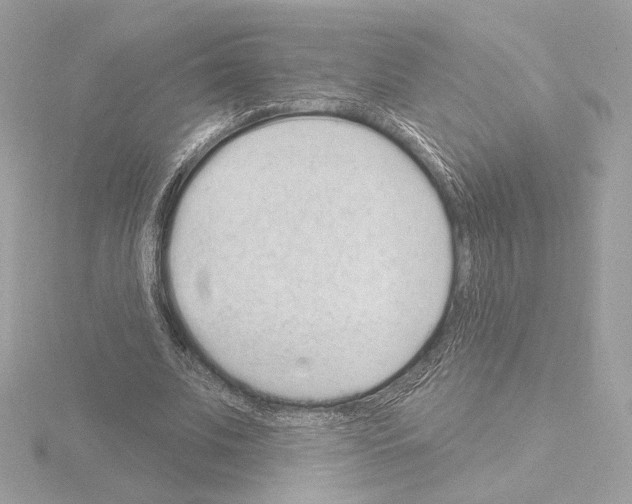 X0000115520679200912181507