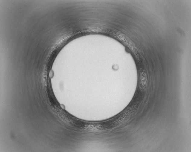 X0000115520680200912181507