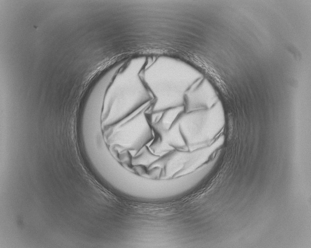 X0000115520681200912181507