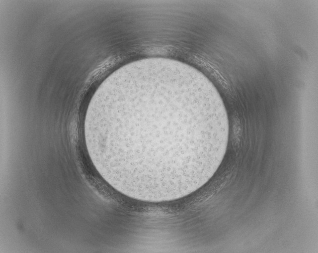 X0000115520682200912181507