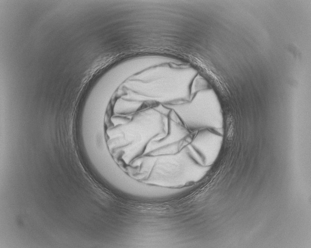 X0000115520685200912181507