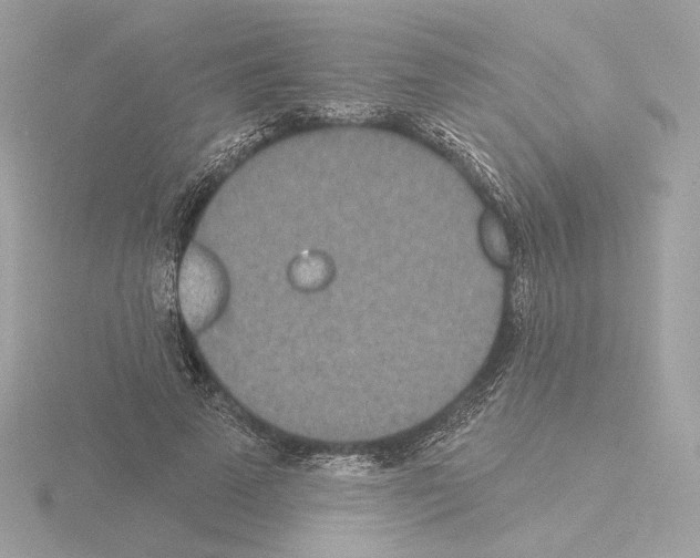 X0000115520689200912181507